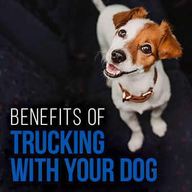 benefits-of-trucking-with-your-dog